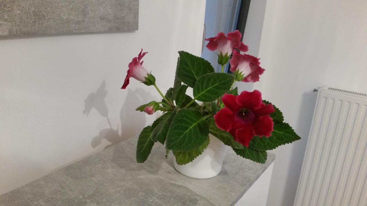 Eapartment Apartment Bucharest